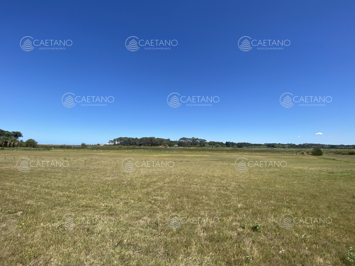 Pinares - GoPunta - Portal Inmobiliario de Punta del Este - Maldonado