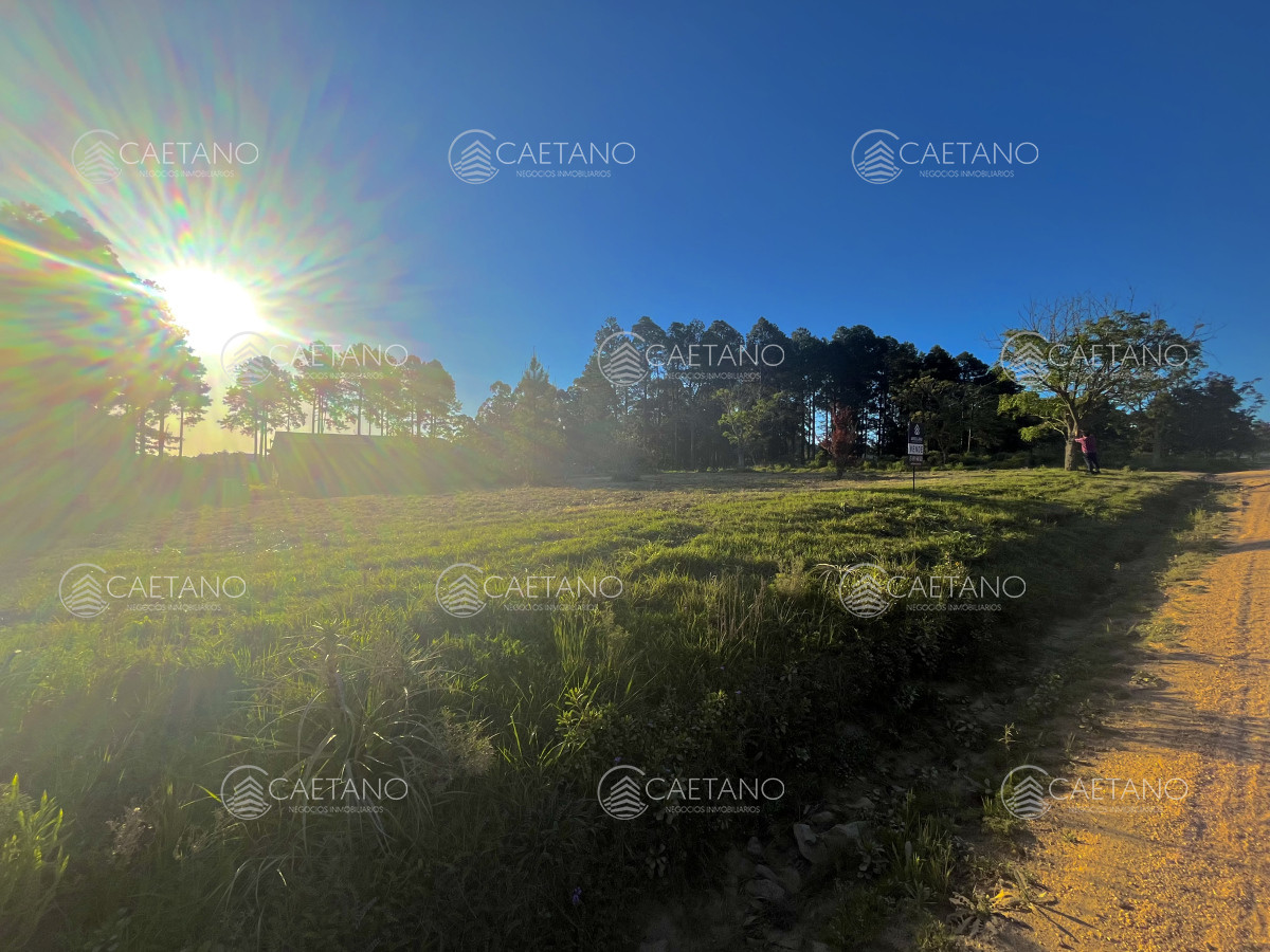 Chacras del Pinar - GoPunta - Portal Inmobiliario de Punta del Este - Maldonado