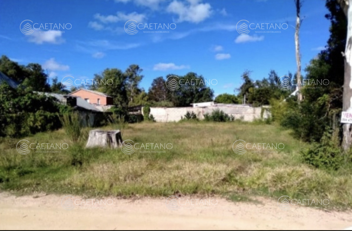El Tesoro - GoPunta - Portal Inmobiliario de Punta del Este - Maldonado