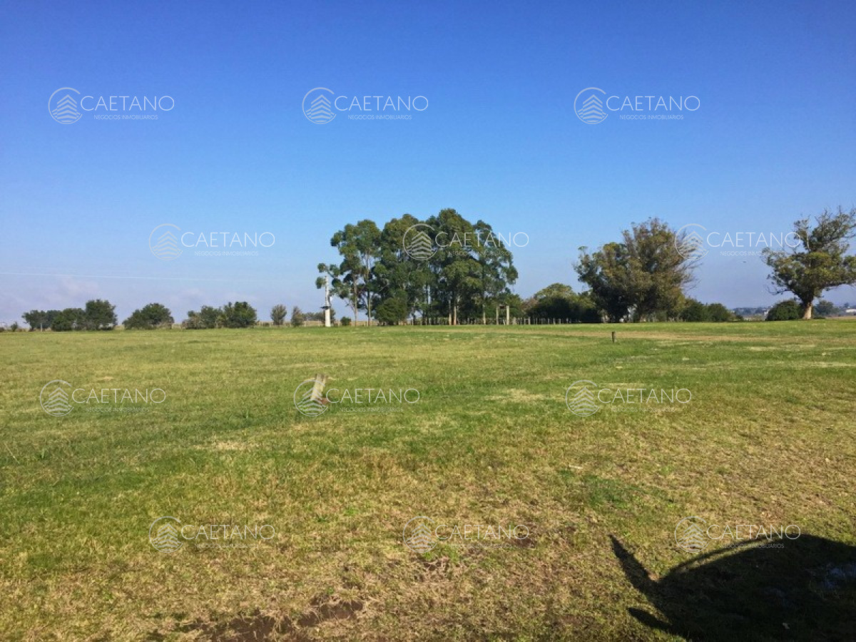El Quijote - GoPunta - Portal Inmobiliario de Punta del Este - Maldonado