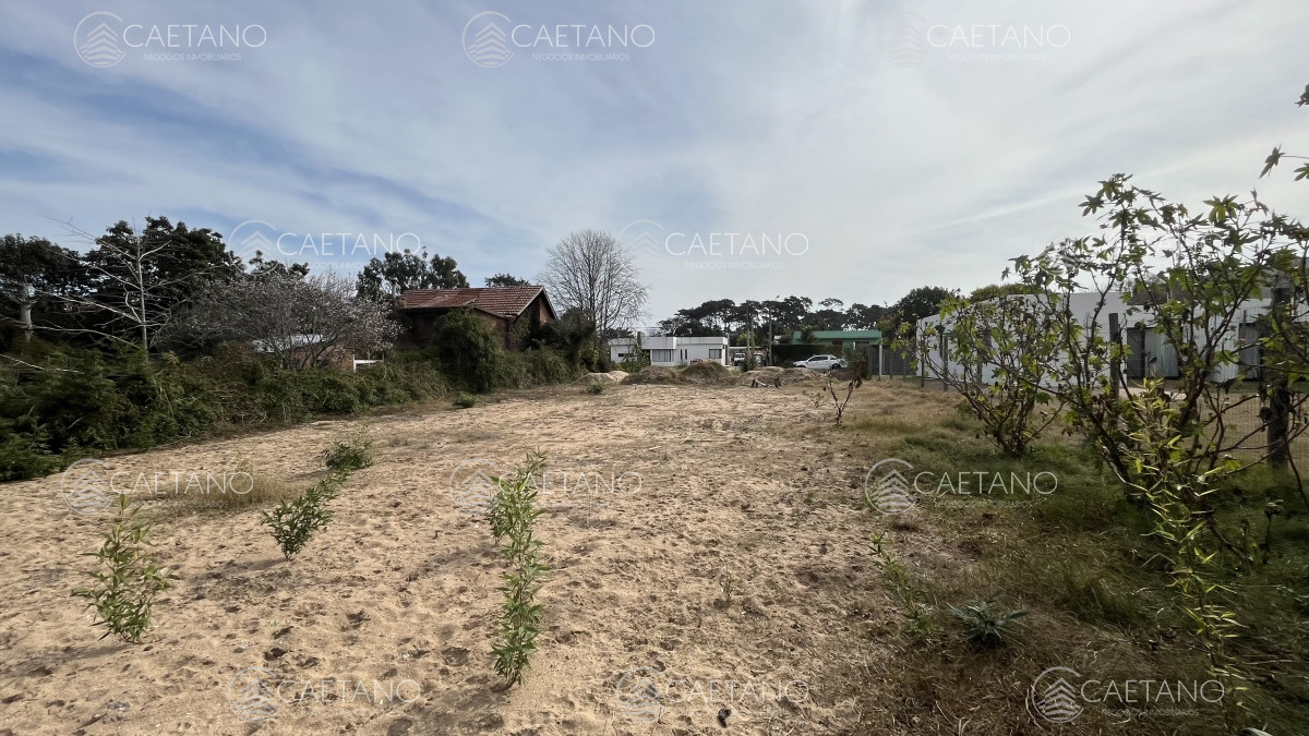 Marly - GoPunta - Portal Inmobiliario de Punta del Este - Maldonado