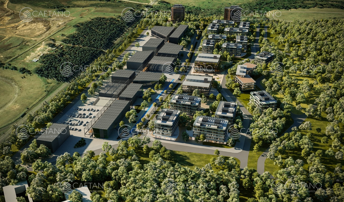 Golf - GoPunta - Portal Inmobiliario de Punta del Este - Maldonado