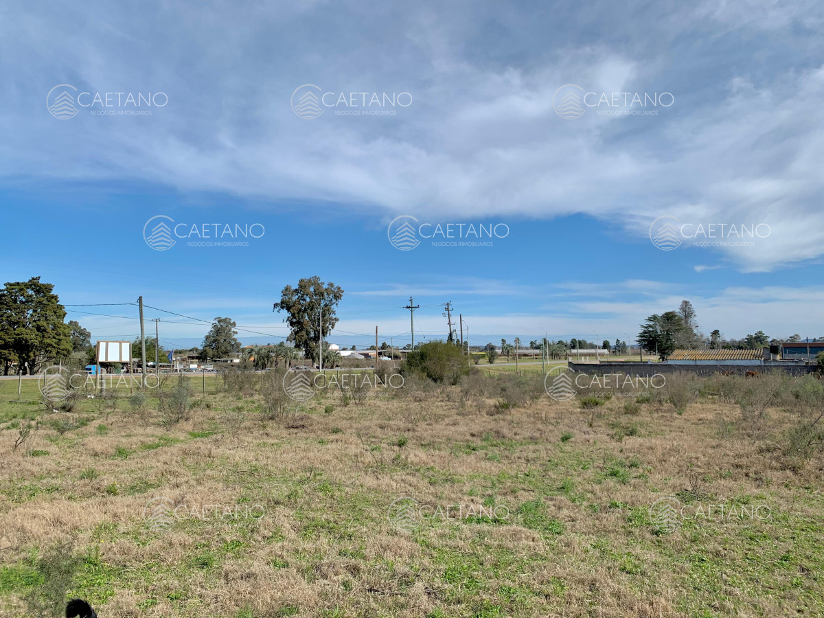Ruta 9 - GoPunta - Portal Inmobiliario de Punta del Este - Maldonado