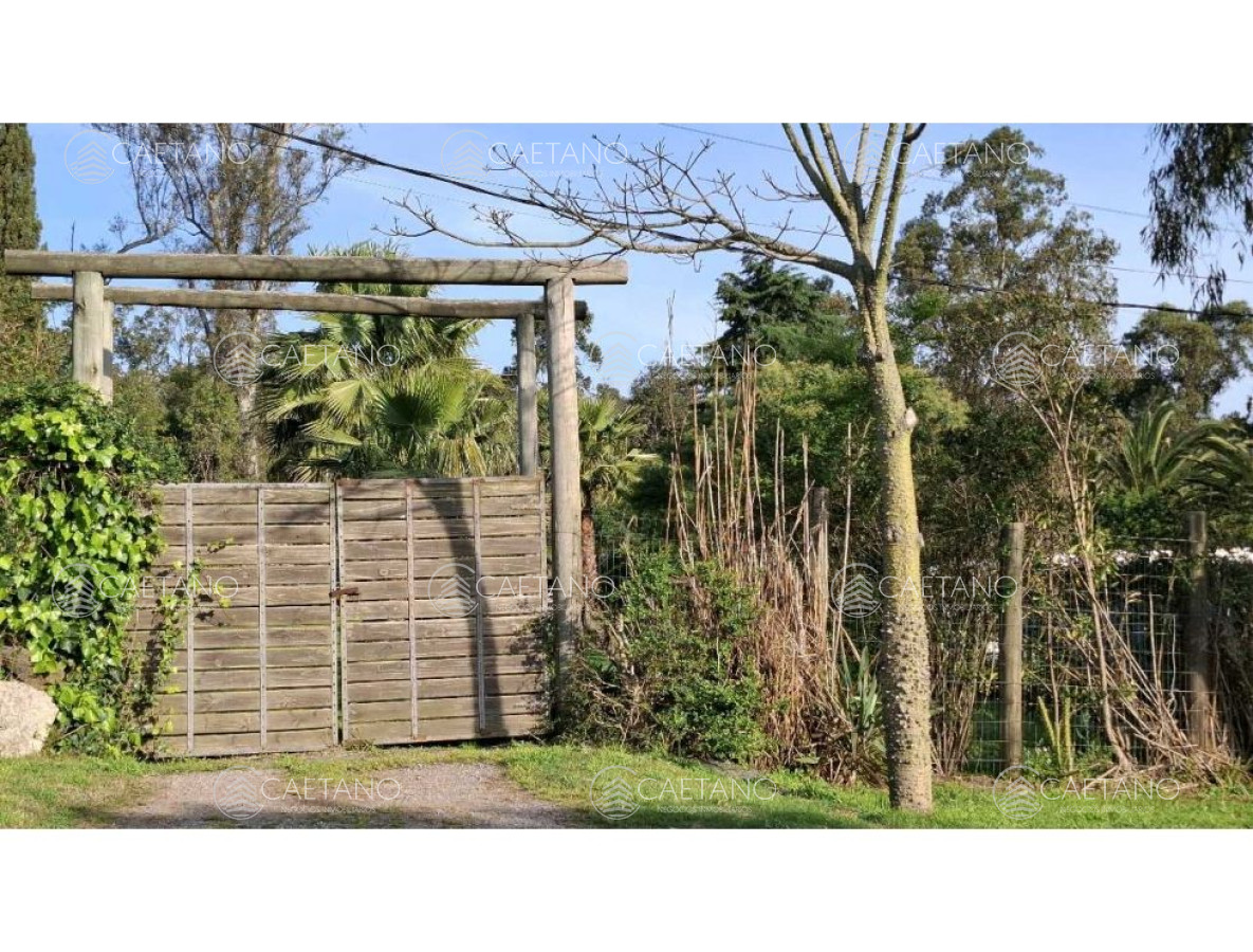 El Tesoro - GoPunta - Portal Inmobiliario de Punta del Este - Maldonado