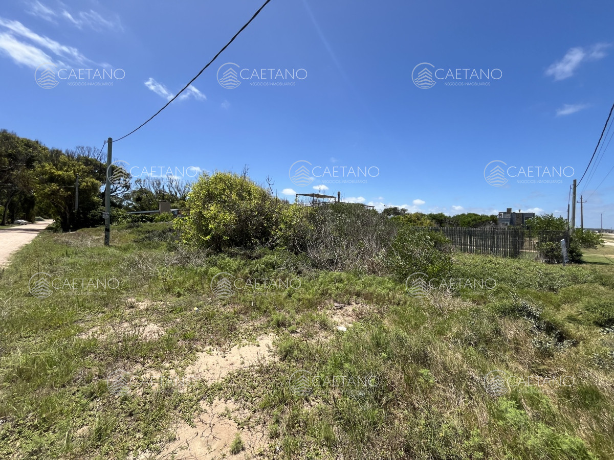 Balneario Buenos Aires - GoPunta - Portal Inmobiliario de Punta del Este - Maldonado