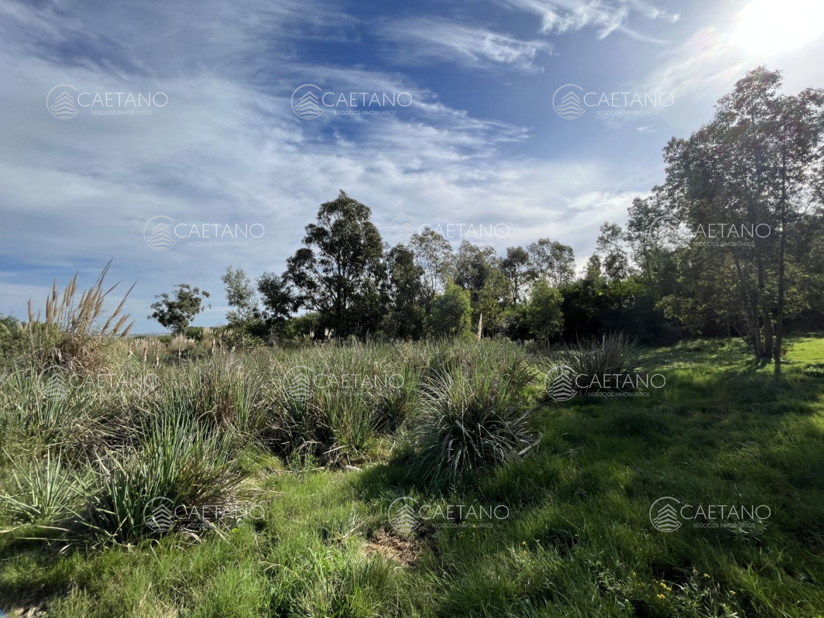 El Tesoro - GoPunta - Portal Inmobiliario de Punta del Este - Maldonado