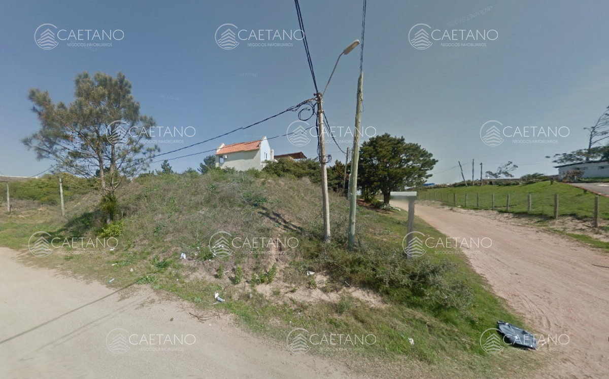 Tio Tom - GoPunta - Portal Inmobiliario de Punta del Este - Maldonado