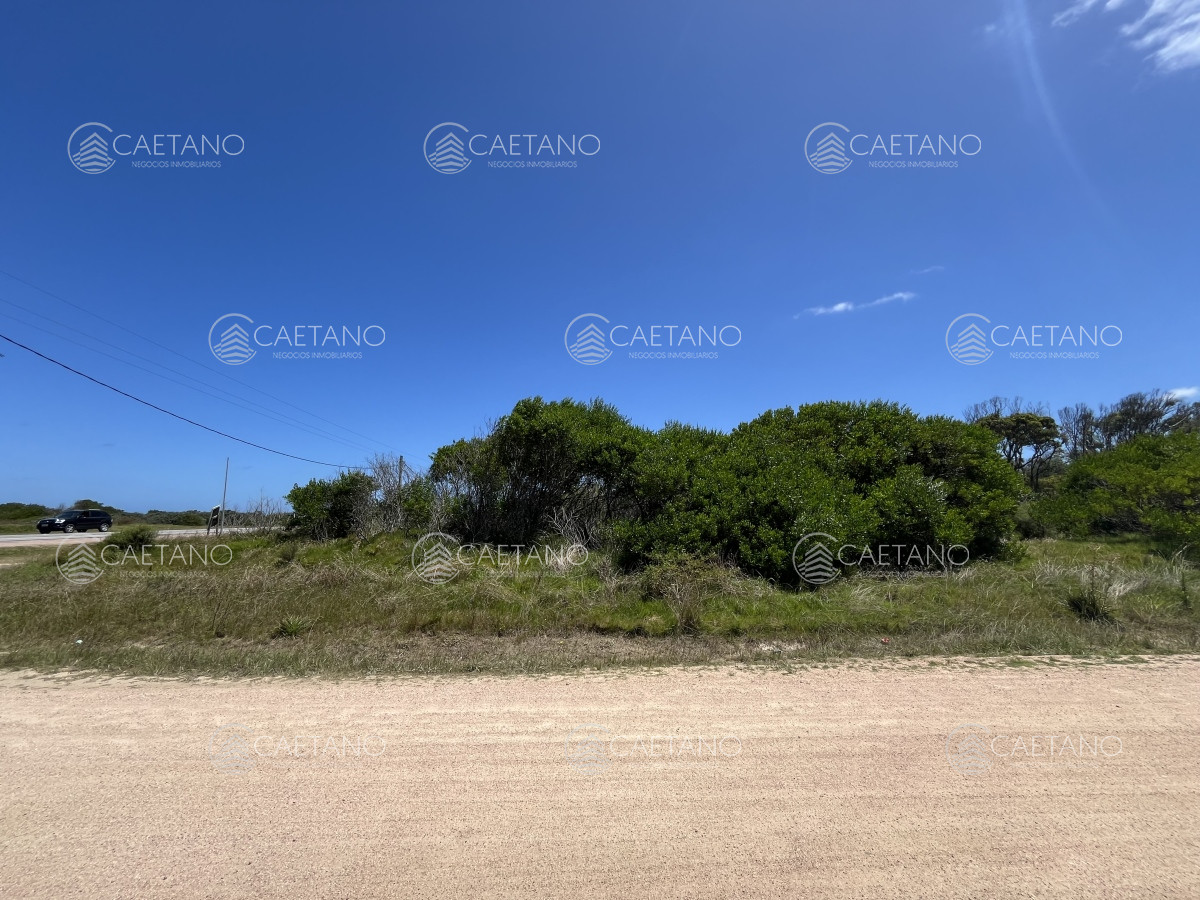 Balneario Buenos Aires - GoPunta - Portal Inmobiliario de Punta del Este - Maldonado