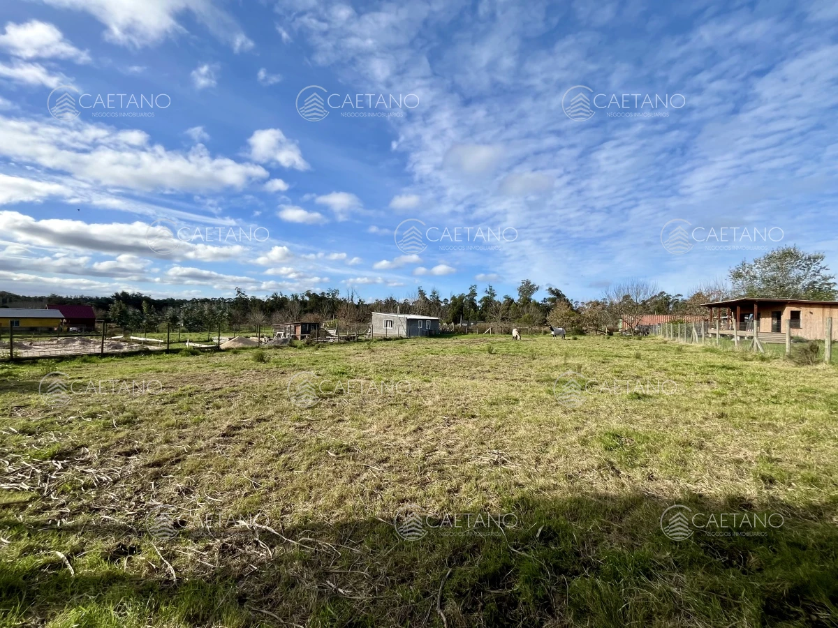 Miramar Acres - GoPunta - Portal Inmobiliario de Punta del Este - Maldonado