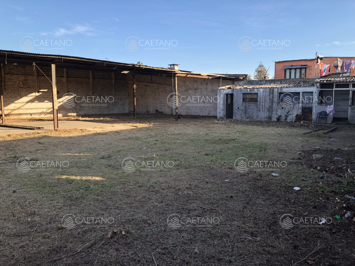 Maldonado - GoPunta - Portal Inmobiliario de Punta del Este - Maldonado