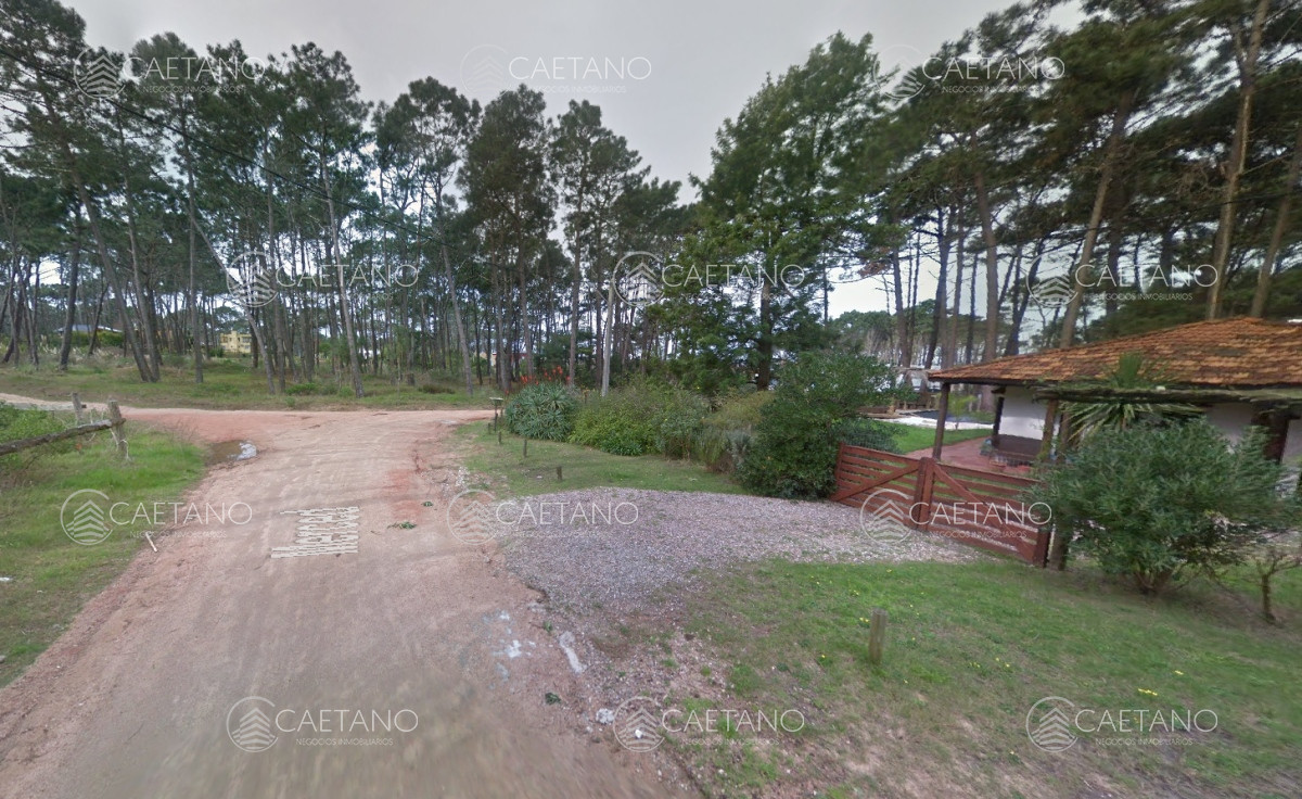 Montoya - GoPunta - Portal Inmobiliario de Punta del Este - Maldonado