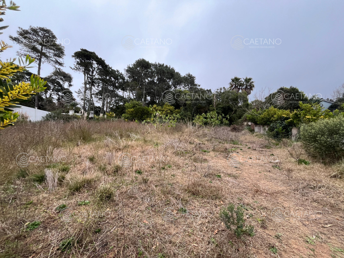 Rincón del Indio - GoPunta - Portal Inmobiliario de Punta del Este - Maldonado