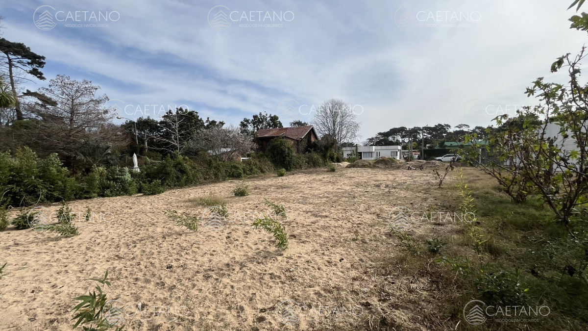 Marly - GoPunta - Portal Inmobiliario de Punta del Este - Maldonado