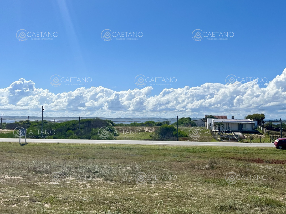 Santa Monica - GoPunta - Portal Inmobiliario de Punta del Este - Maldonado