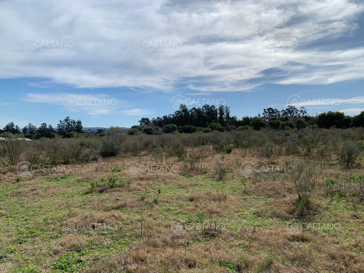 Ruta 9 - GoPunta - Portal Inmobiliario de Punta del Este - Maldonado