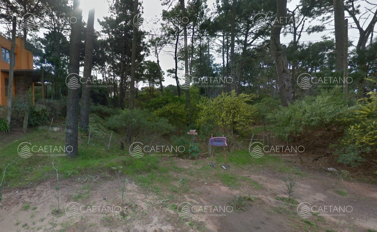 Montoya - GoPunta - Portal Inmobiliario de Punta del Este - Maldonado