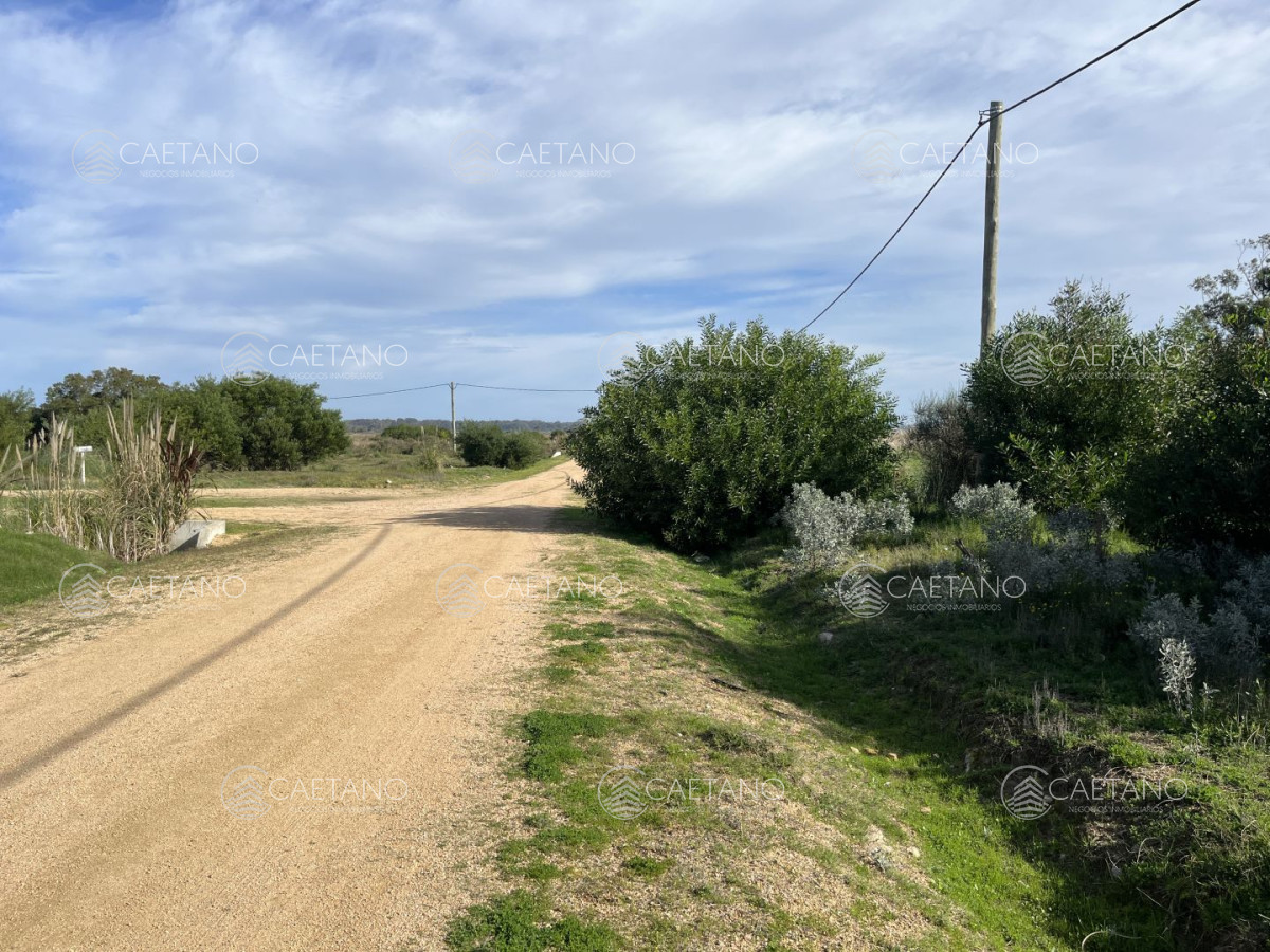 El Tesoro - GoPunta - Portal Inmobiliario de Punta del Este - Maldonado