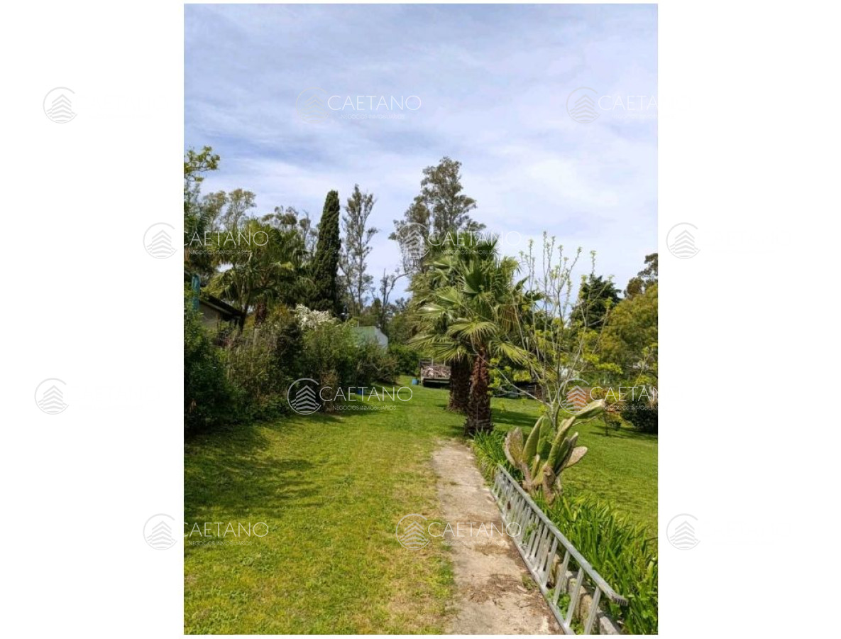 El Tesoro - GoPunta - Portal Inmobiliario de Punta del Este - Maldonado