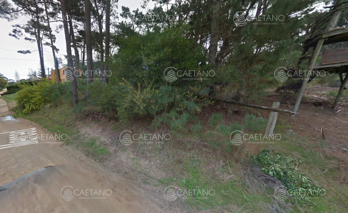 Montoya - GoPunta - Portal Inmobiliario de Punta del Este - Maldonado