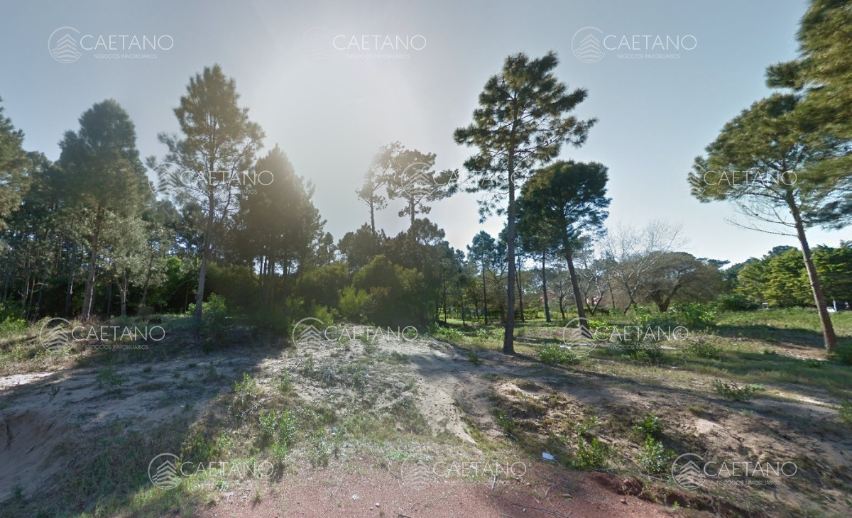 Burnett - GoPunta - Portal Inmobiliario de Punta del Este - Maldonado