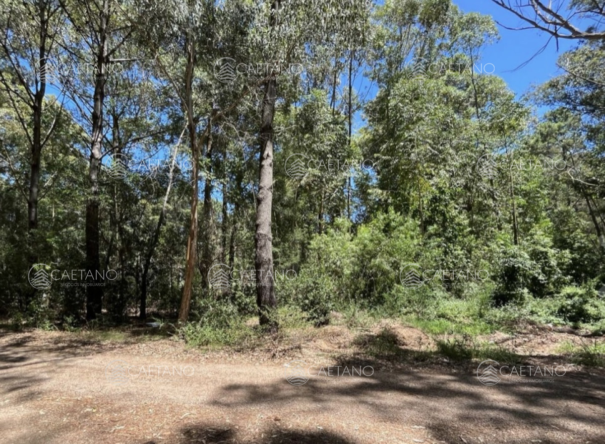Portezuelo - GoPunta - Portal Inmobiliario de Punta del Este - Maldonado
