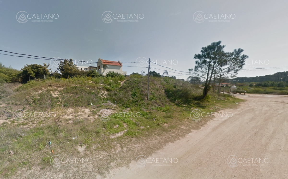 Tio Tom - GoPunta - Portal Inmobiliario de Punta del Este - Maldonado