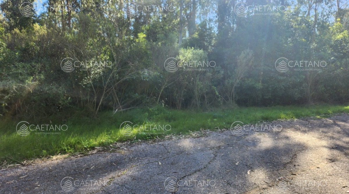 Las Cumbres - GoPunta - Portal Inmobiliario de Punta del Este - Maldonado