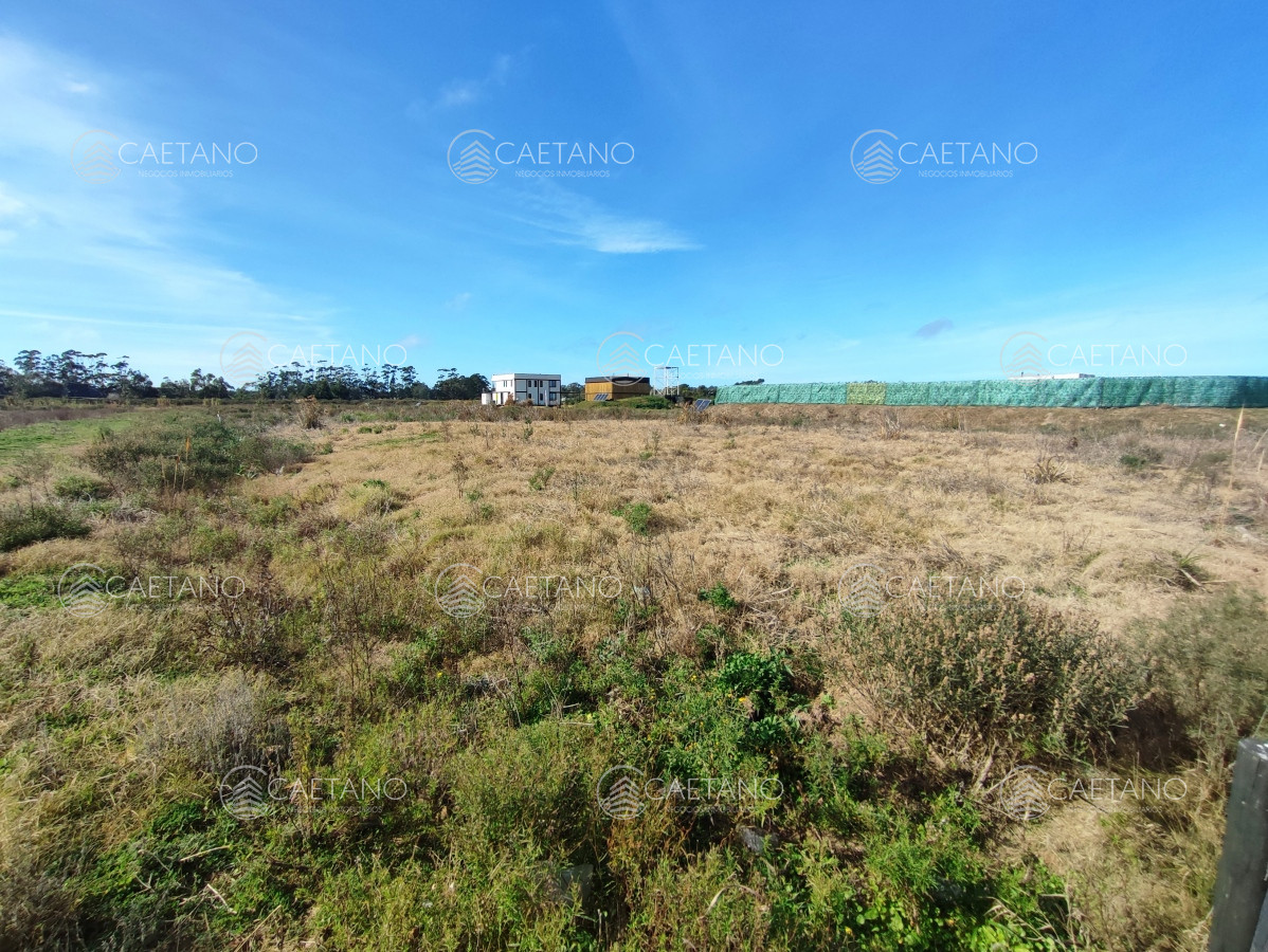 Camino Eguzquiza - GoPunta - Portal Inmobiliario de Punta del Este - Maldonado