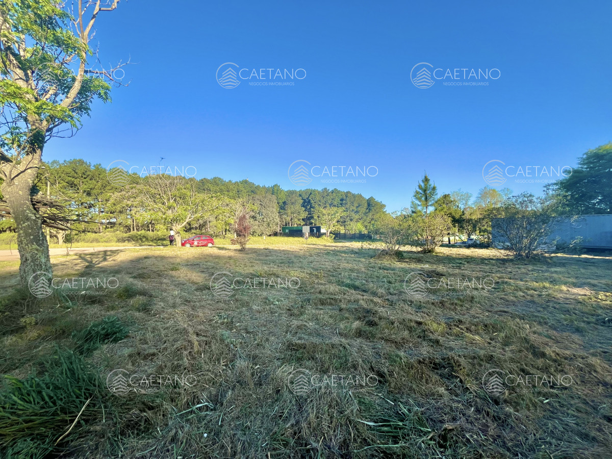 Chacras del Pinar - GoPunta - Portal Inmobiliario de Punta del Este - Maldonado