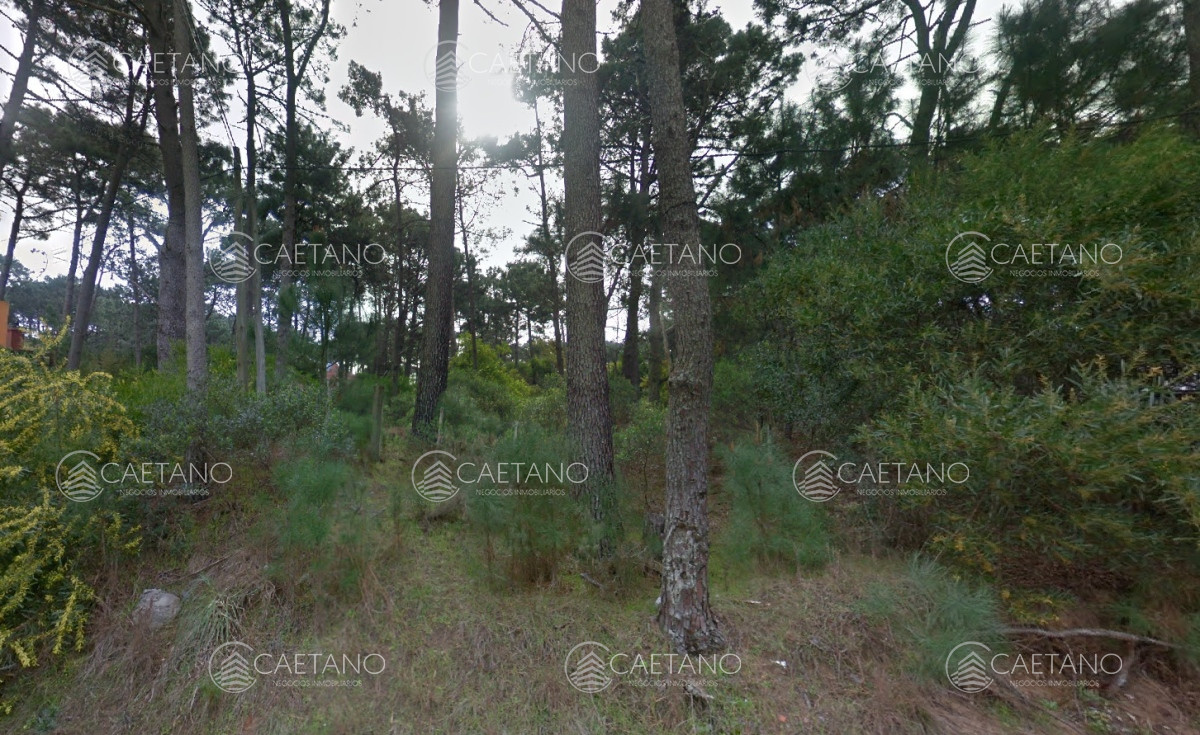 Montoya - GoPunta - Portal Inmobiliario de Punta del Este - Maldonado