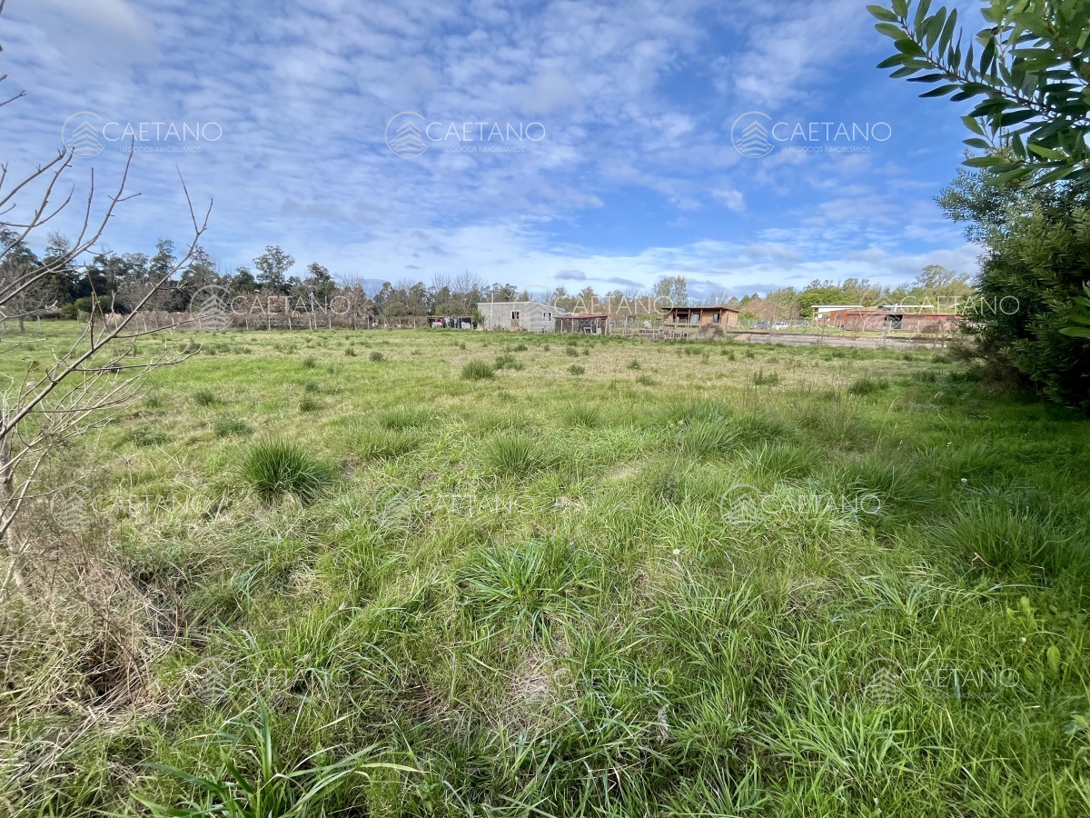 Miramar Acres - GoPunta - Portal Inmobiliario de Punta del Este - Maldonado