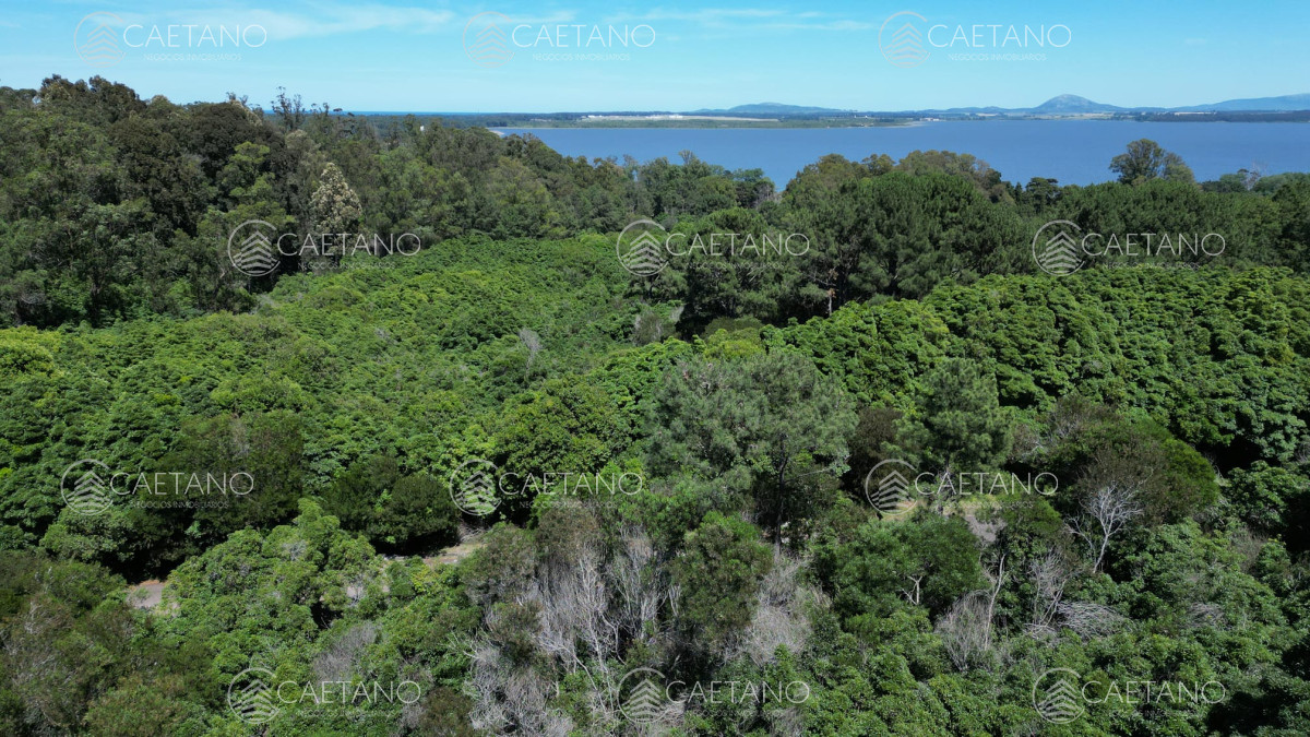Las Cumbres - GoPunta - Portal Inmobiliario de Punta del Este - Maldonado