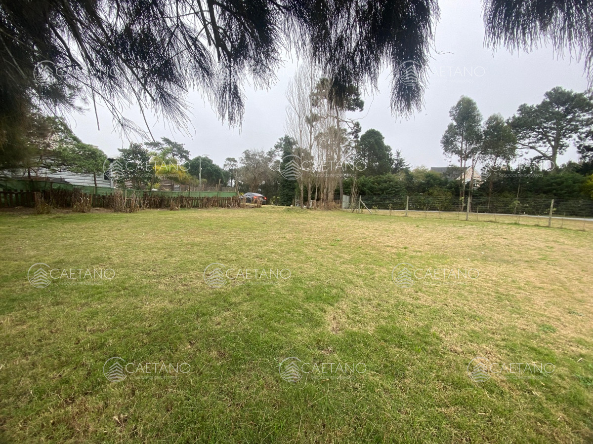 La Residence - GoPunta - Portal Inmobiliario de Punta del Este - Maldonado