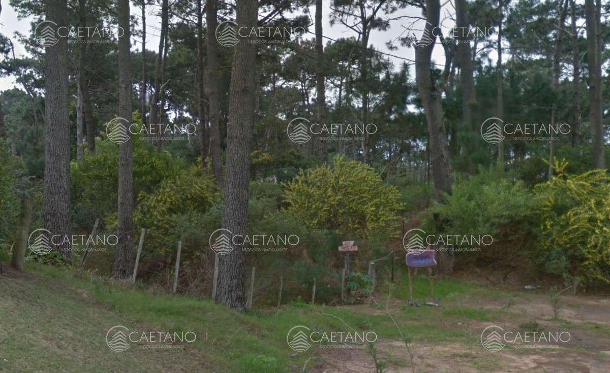 Montoya - GoPunta - Portal Inmobiliario de Punta del Este - Maldonado