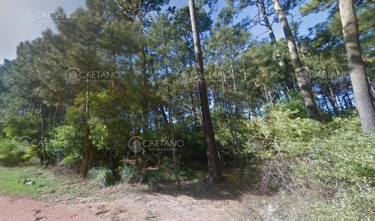 Burnett - GoPunta - Portal Inmobiliario de Punta del Este - Maldonado