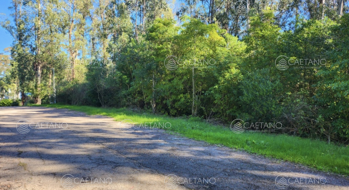 Las Cumbres - GoPunta - Portal Inmobiliario de Punta del Este - Maldonado