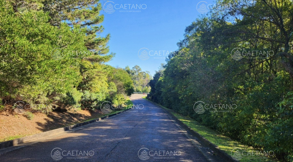 Las Cumbres - GoPunta - Portal Inmobiliario de Punta del Este - Maldonado