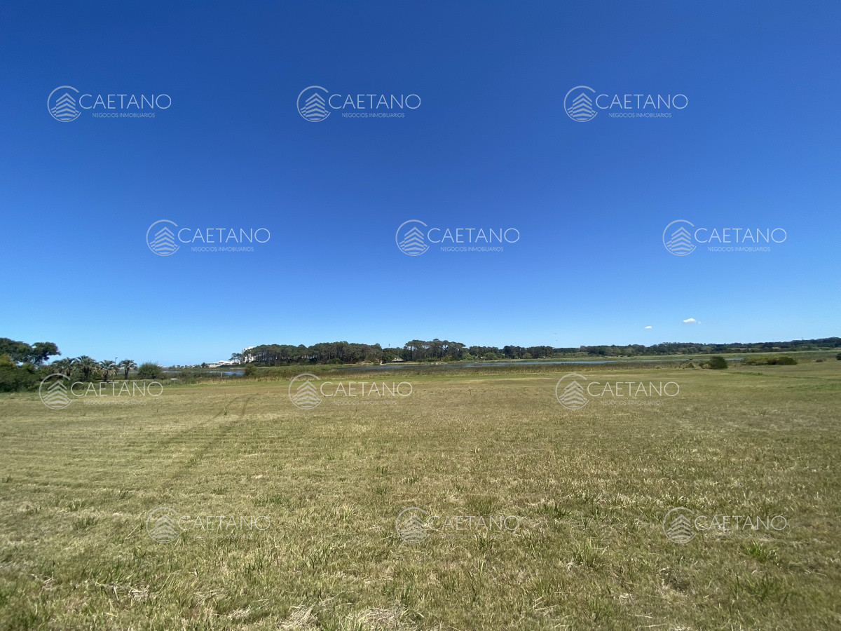 Pinares - GoPunta - Portal Inmobiliario de Punta del Este - Maldonado