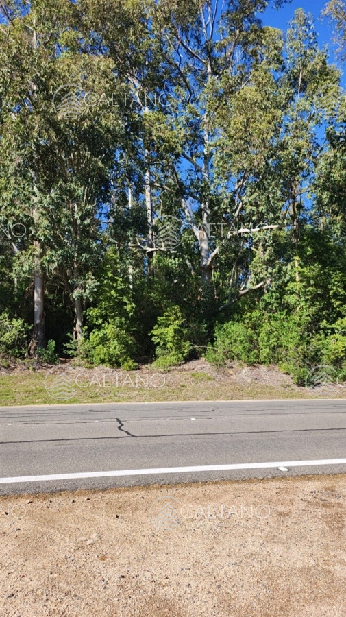 Las Cumbres - GoPunta - Portal Inmobiliario de Punta del Este - Maldonado