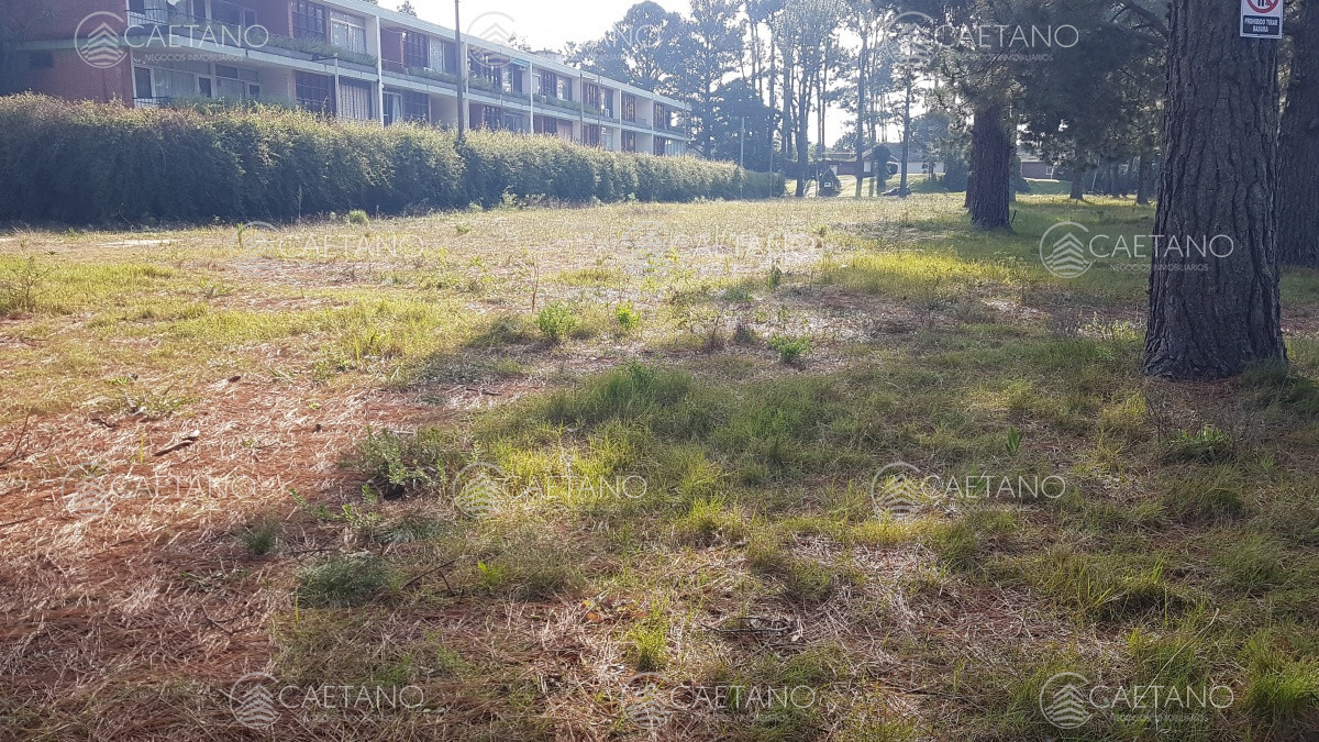 Cantegril - GoPunta - Portal Inmobiliario de Punta del Este - Maldonado