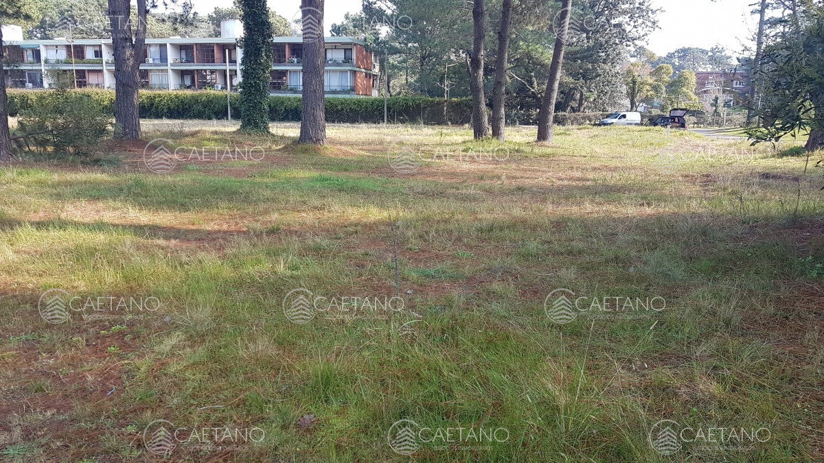 Cantegril - GoPunta - Portal Inmobiliario de Punta del Este - Maldonado