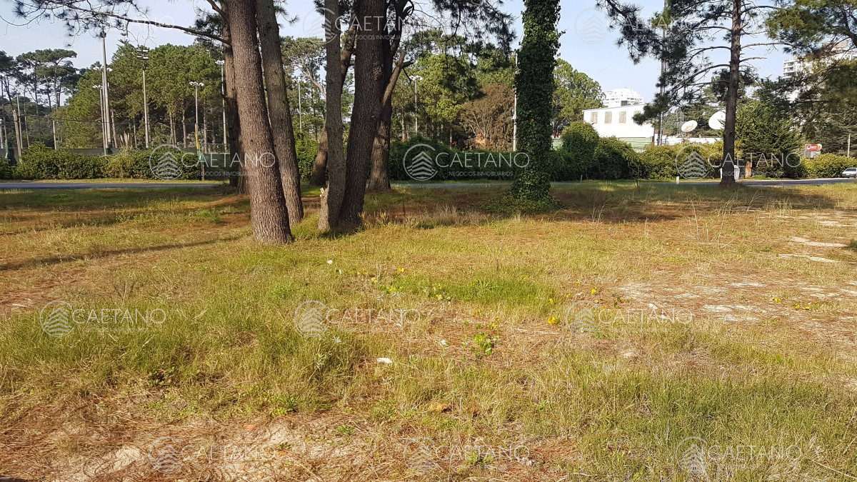 Cantegril - GoPunta - Portal Inmobiliario de Punta del Este - Maldonado