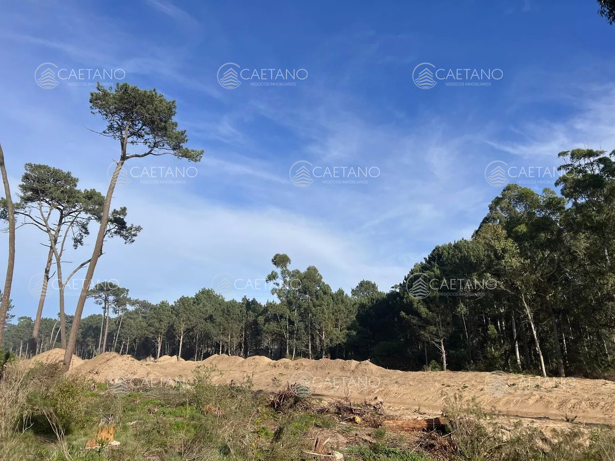 Burnett - GoPunta - Portal Inmobiliario de Punta del Este - Maldonado