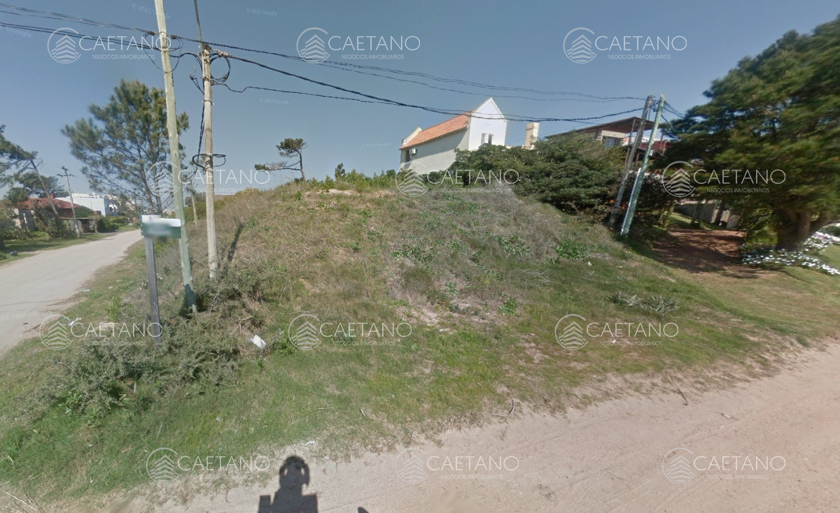 Tio Tom - GoPunta - Portal Inmobiliario de Punta del Este - Maldonado