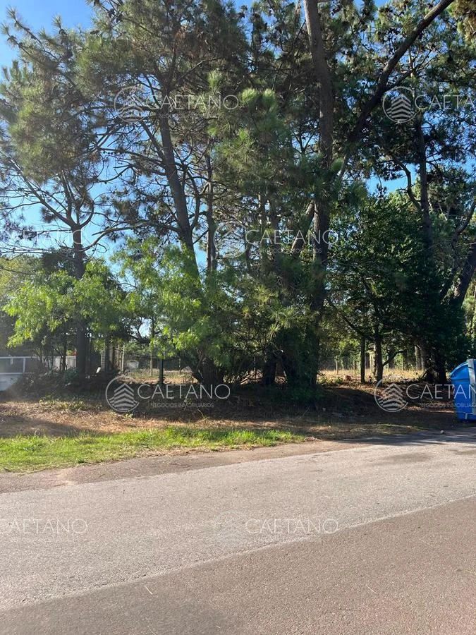 Lugano - GoPunta - Portal Inmobiliario de Punta del Este - Maldonado