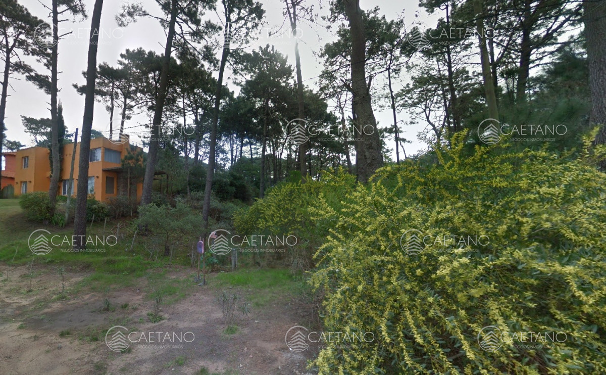 Montoya - GoPunta - Portal Inmobiliario de Punta del Este - Maldonado