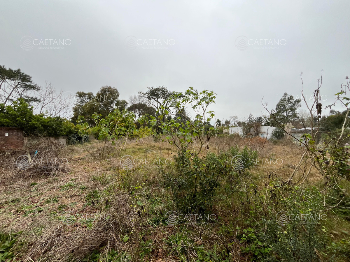 Rincón del Indio - GoPunta - Portal Inmobiliario de Punta del Este - Maldonado