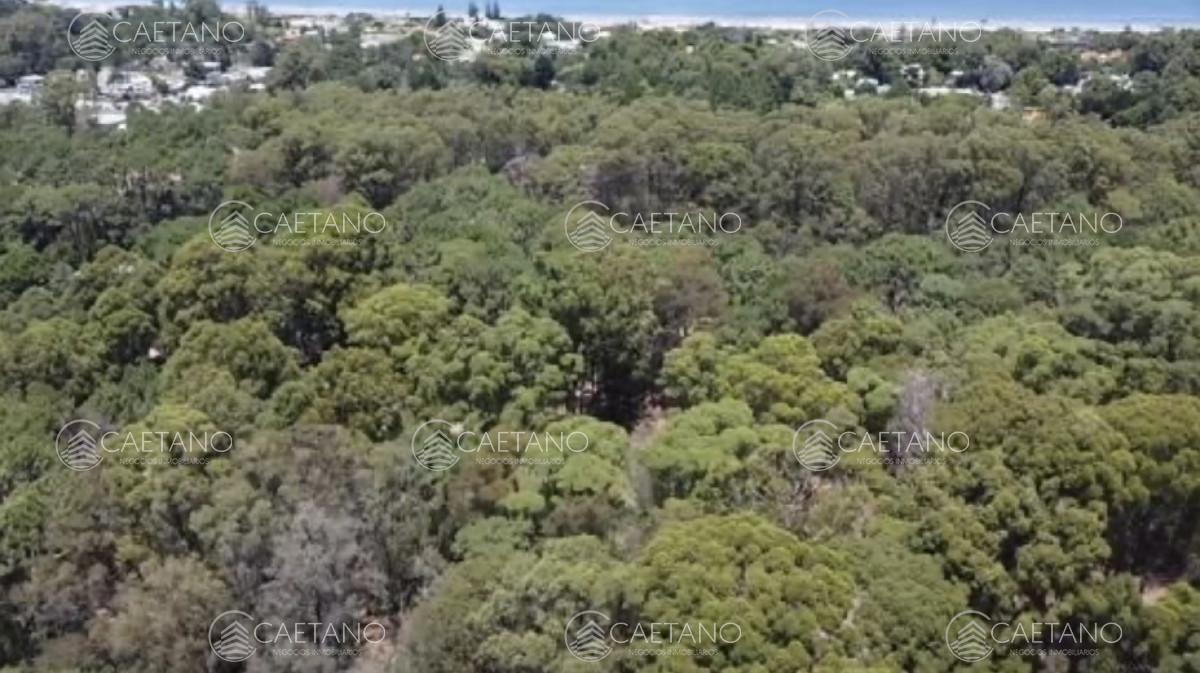 Portezuelo - GoPunta - Portal Inmobiliario de Punta del Este - Maldonado