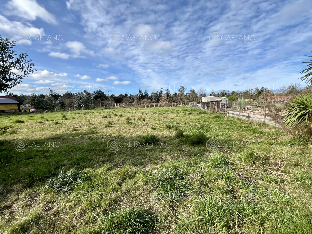 Miramar Acres - GoPunta - Portal Inmobiliario de Punta del Este - Maldonado
