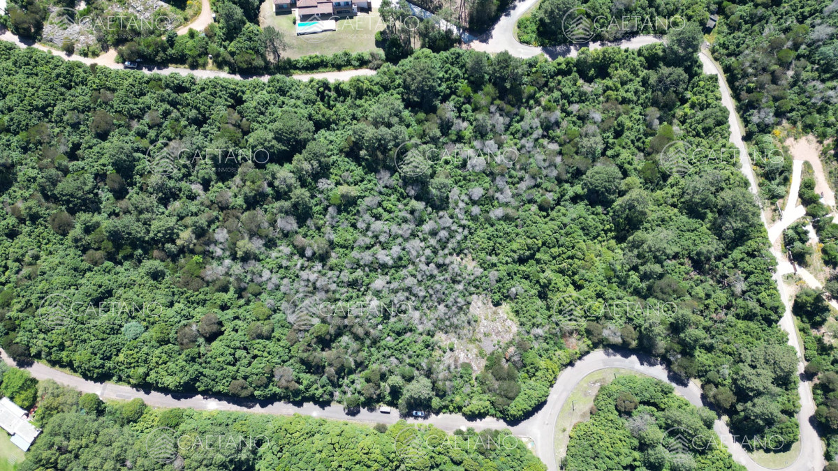 Las Cumbres - GoPunta - Portal Inmobiliario de Punta del Este - Maldonado